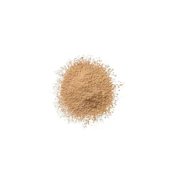 CLINIQUE BLENDED face powder #04-transparency