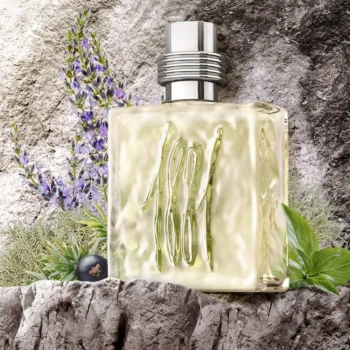 <span class="notranslate">CERRUTI 1881 POUR HOMME</span> eau de toilette 100 ml for Men