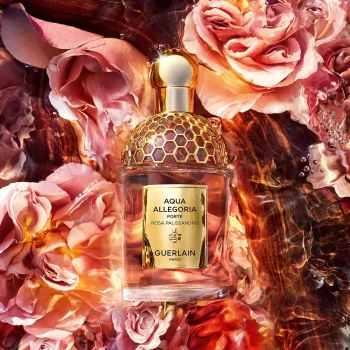 <span class="notranslate">GUERLAIN AQUA ALLEGORIA ROSA PALISSANDRO FORTE</span> eau de parfum 125 ml Unisex