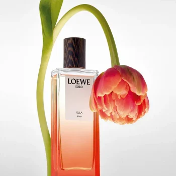 <span class="notranslate">LOEWE SOLO ELLA ELIXIR</span> eau de parfum 100 ml for Women