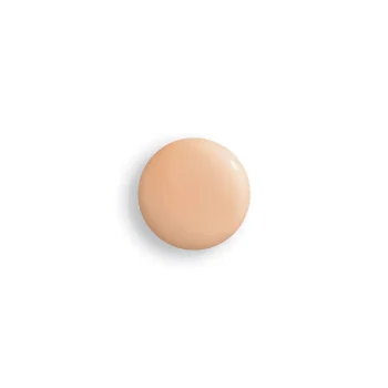 SISLEY PHYTO-TEINT PERFECTION luminous mat skincare foundation #2W2-Des