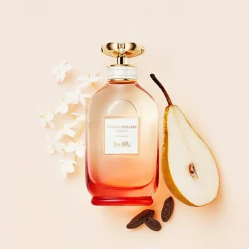 <span class="notranslate">COACH DREAMS SUNSET</span> eau de parfum 90 ml for Women