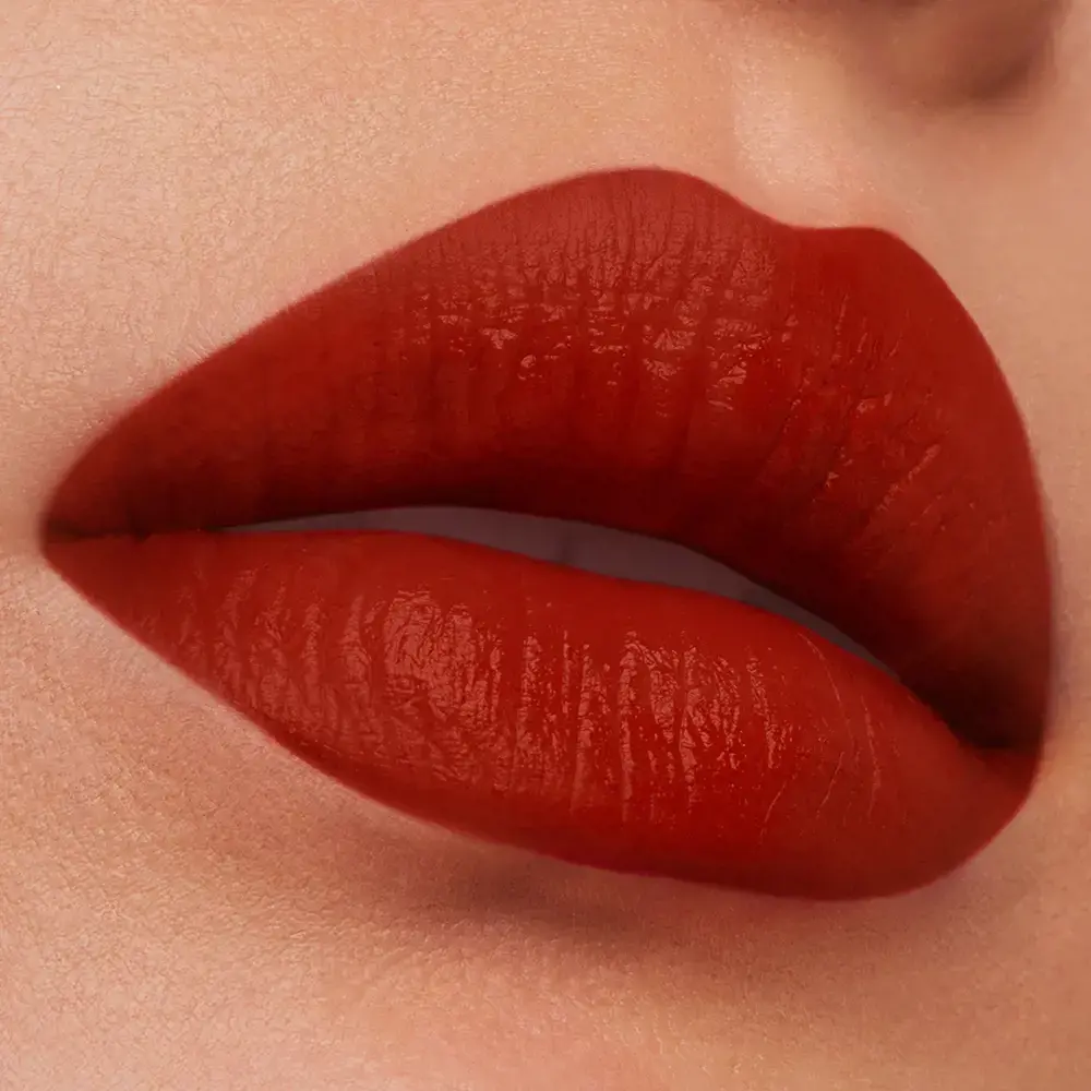ESTÉE LAUDER PURE COLOR matte lipstick #fearless