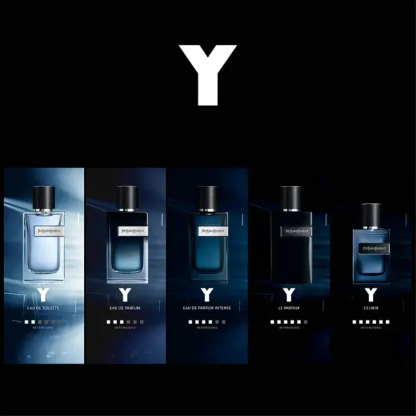 YVES SAINT LAURENT Y LE PARFUM eau de parfum 100 ml