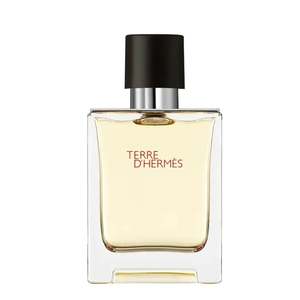 HERMÈS TERRE D'HERMÈS 50 ml eau de toilette, EAN 3346130009610