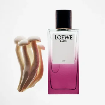 <span class="notranslate">LOEWE EARTH ELIXIR</span> eau de parfum 100 ml Unisex