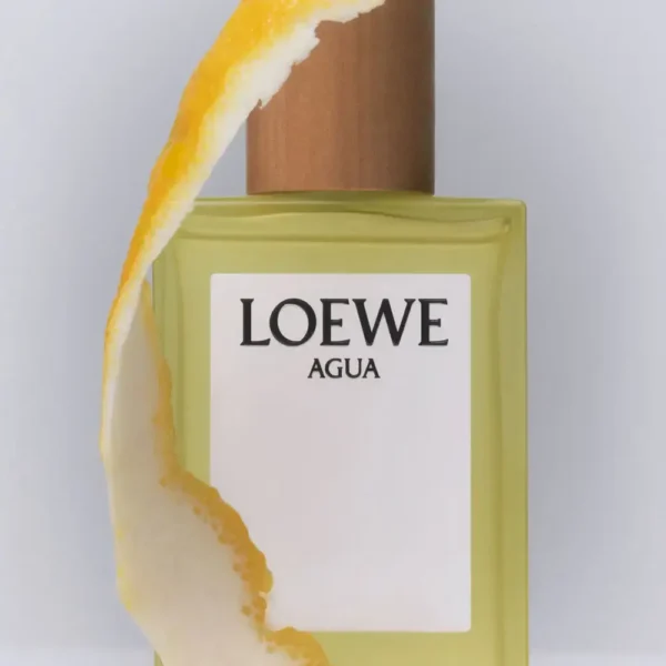 LOEWE AGUA 100 ml eau de toilette