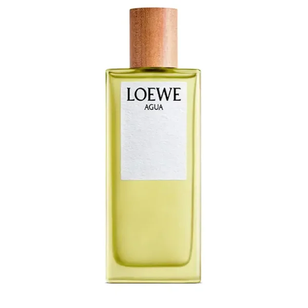 LOEWE AGUA 100 ml eau de toilette, EAN 8426017066440