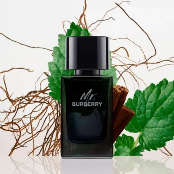 <span class="notranslate">BURBERRY MR. BURBERRY</span> eau de parfum 100 ml for Men