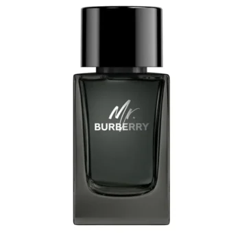 BURBERRY MR. BURBERRY eau de parfum 100 ml, EAN 3616301838210