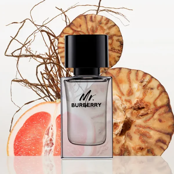 BURBERRY MR. BURBERRY eau de toilette 100 ml