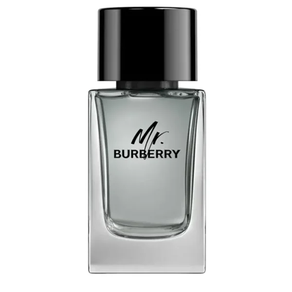 BURBERRY MR. BURBERRY eau de toilette 100 ml, EAN 3614229840124