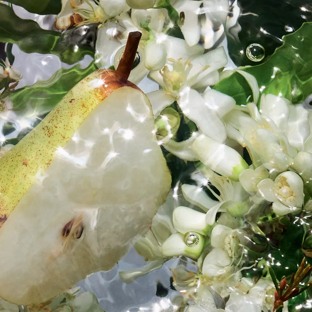 <span class="notranslate">GUERLAIN AQUA ALLEGORIA PERA GRANITA</span> eau de toilette 125 ml for Women <span class="notranslate">GUERLAIN AQUA ALLEGORIA PERA GRANITA</span> eau de toilette 125 ml for Women - Image 3