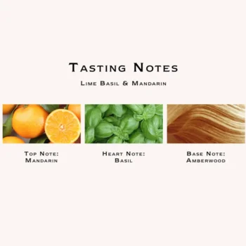 <span class="notranslate">JO MALONE LIME BASIL & MANDARIN</span> eau de cologne 100 ml Unisex