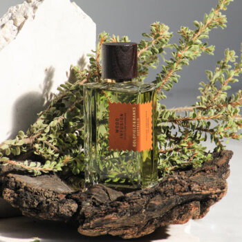<span class="notranslate">GOLDFIELD & BANKS WOOD INFUSION</span> Perfume Concentrate 100 ml Unisex