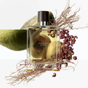 <span class="notranslate">HERMES TERRE D'HERMES (Tester)</span> Eau De Toilette 100 ml for Men