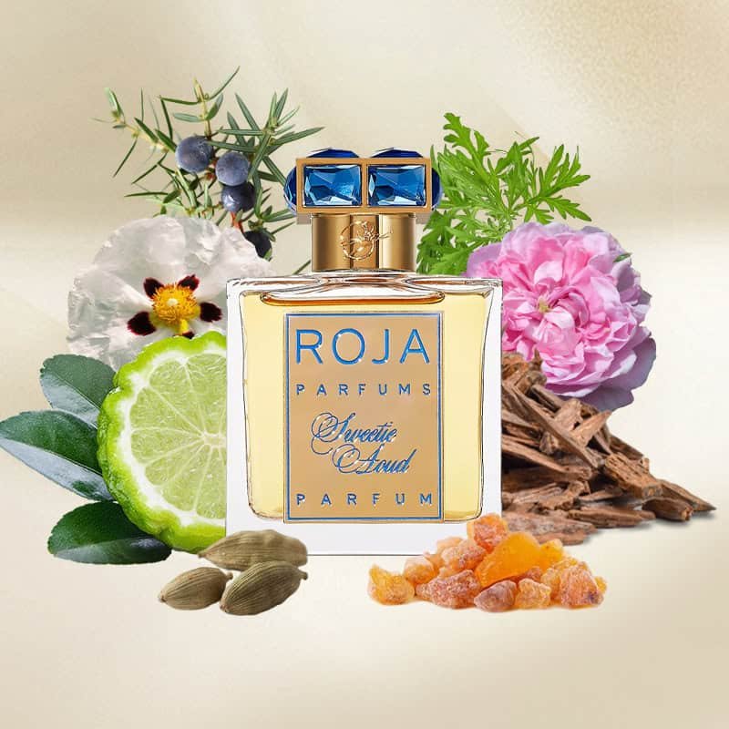 <span class="notranslate">ROJA</span> PARFUMS SWEETIE AOUD Extrait De Parfum 50 ml Unisex <span class="notranslate">ROJA</span> PARFUMS SWEETIE AOUD Extrait De Parfum 50 ml Unisex - Image 2