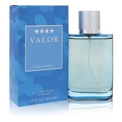 <span class="notranslate">DANA VALOR</span> Eau De Toilette 100 ml for Men