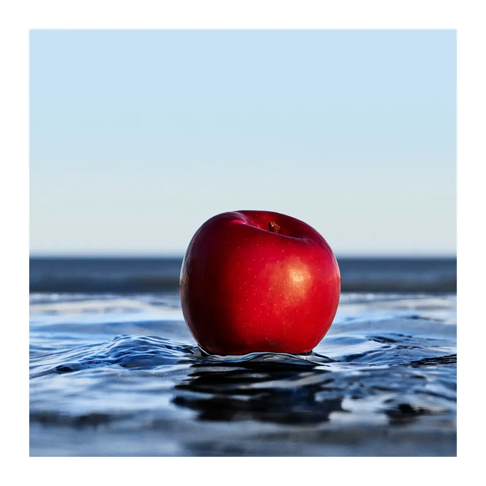 <span class="notranslate">HUGO BOSS-BOSS BOSS BOTTLED INFINITE</span> eau de parfum 50 ml for Men