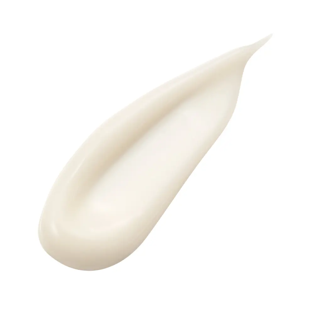 <span class="notranslate">SENSAI ABSOLUTE silk</span> cream 40 ml