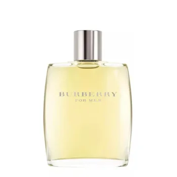 <span class="notranslate">BURBERRY BURBERRY FOR MEN</span> eau de toilette spray 100 ml