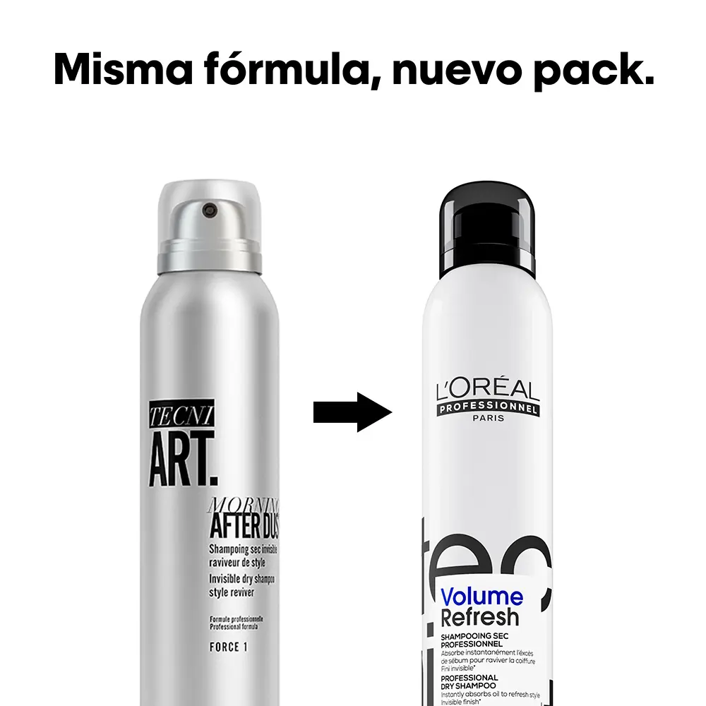 L'OREAL PROFESSIONNEL PARIS+ TECNI ART morning after dust dry shampoo 200 ml L'OREAL PROFESSIONNEL PARIS+ TECNI ART morning after dust dry shampoo 200 ml
