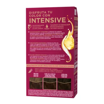 PALETTE+ PALETTE INTENSIVE dye #4.6-chestnut brown 1 u