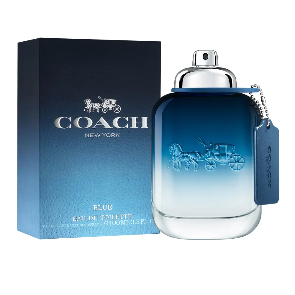 <span class="notranslate">COACH COACH BLUE</span> eau de toilette spray 100 ml for Men