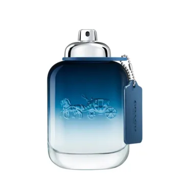 <span class="notranslate">COACH COACH BLUE</span> eau de toilette spray 100 ml for Men