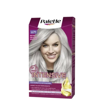 PALETTE INTENSIVE dye #U71-silver gray