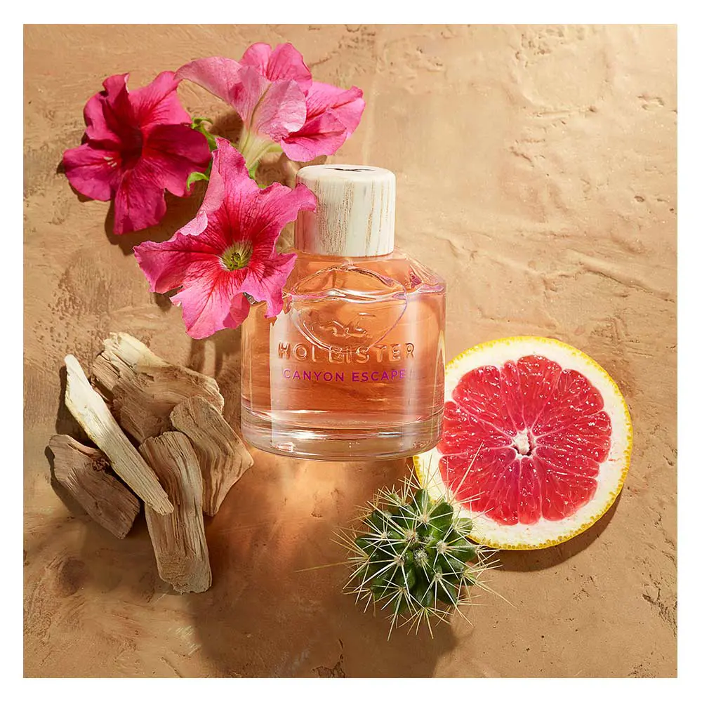 <span class="notranslate">HOLLISTER CANYON ESCAPE FOR HER</span> eau de parfum spray 100 ml for Women <span class="notranslate">HOLLISTER CANYON ESCAPE FOR HER</span> eau de parfum spray 100 ml for Women - Image 3