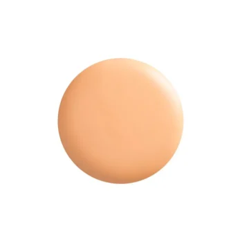 <span class="notranslate">CLARINS SKIN ILLUSION</span> VELVET #105N