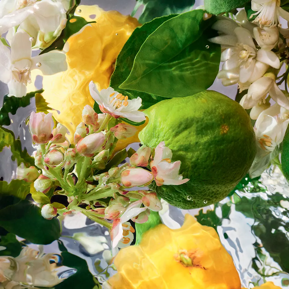 <span class="notranslate">GUERLAIN AQUA ALLEGORIA BERGAMOTE CALABRIA</span> Eau De Toilette 200 ml Refill Unisex