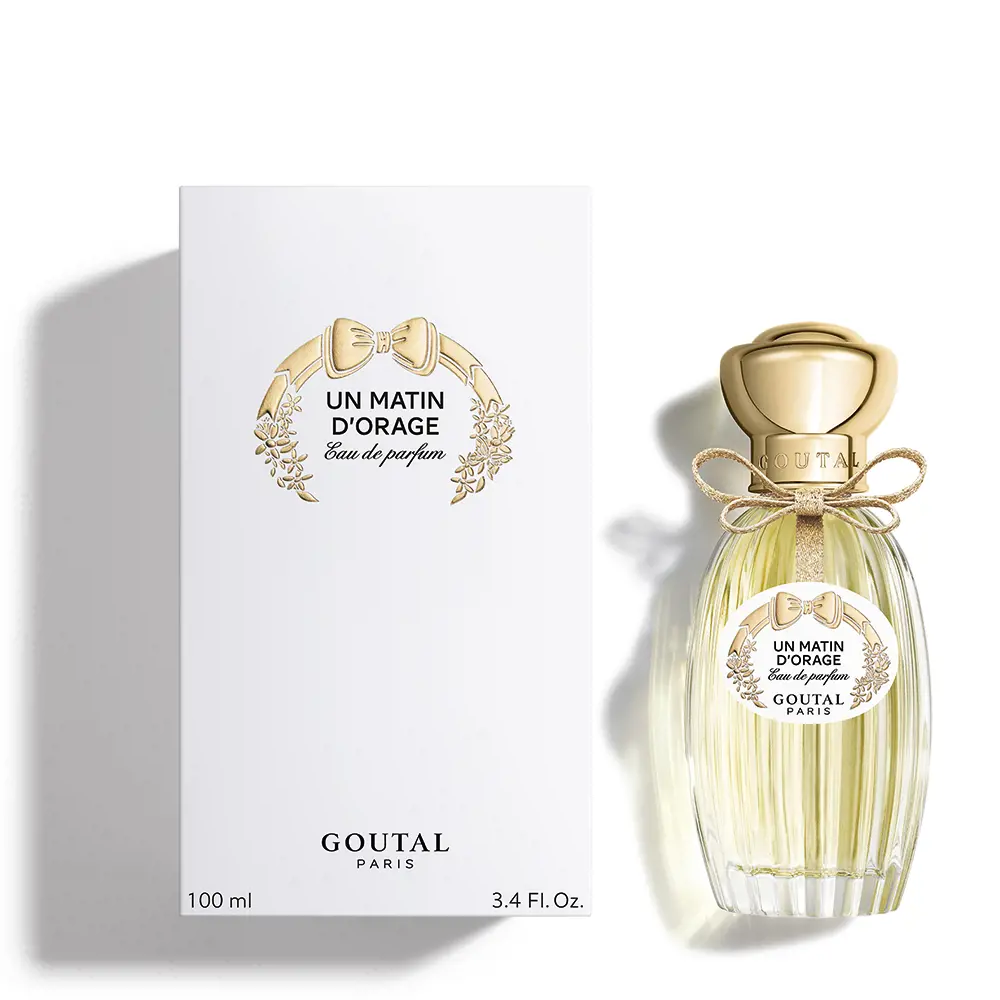 <span class="notranslate">ANNICK GOUTAL UN MATIN D'ORAGE</span> Eau De Parfum 100 ml Unisex