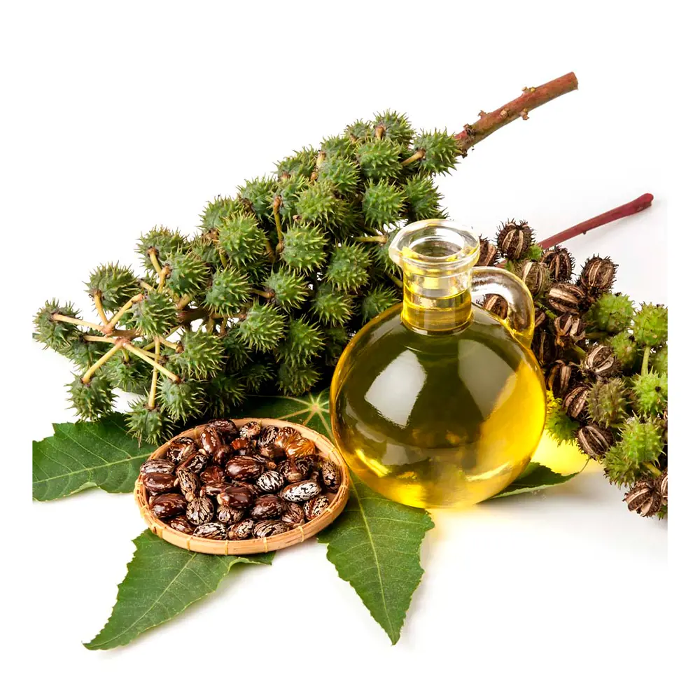 BIOVÈNE CASTOR OIL hair & body 30 ml BIOVÈNE CASTOR OIL hair & body 30 ml - Image 4