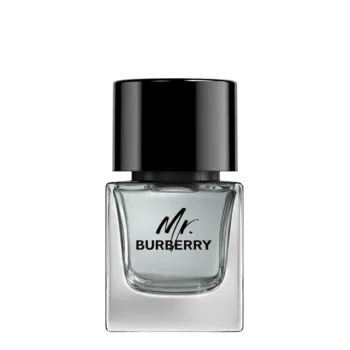 <span class="notranslate">BURBERRY MR BURBERRY</span> eau de toilette 50 ml for Men <span class="notranslate">BURBERRY MR BURBERRY</span> eau de toilette 50 ml for Men
