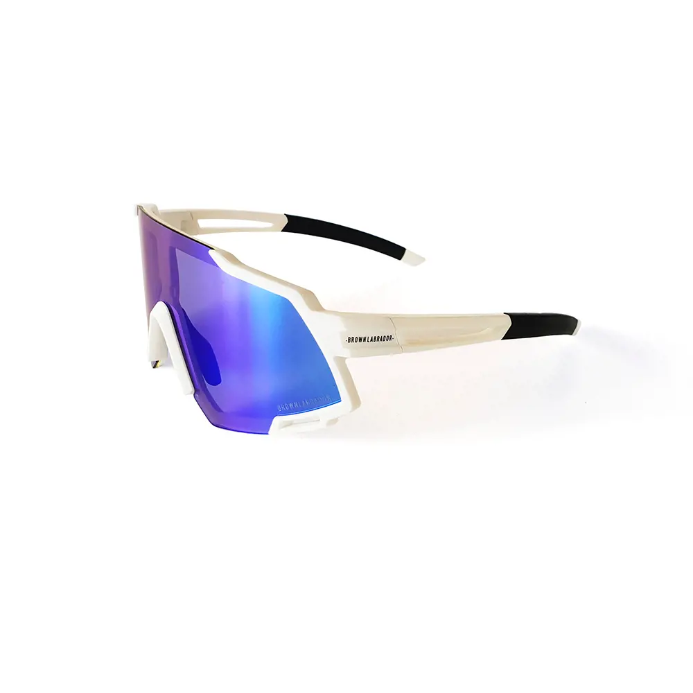 BROWN LABRADOR FX RACE #white-blue 1 u