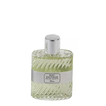 <span class="notranslate">DIOR EAU SAUVAGE</span> eau de toilette spray 50 ml for Men