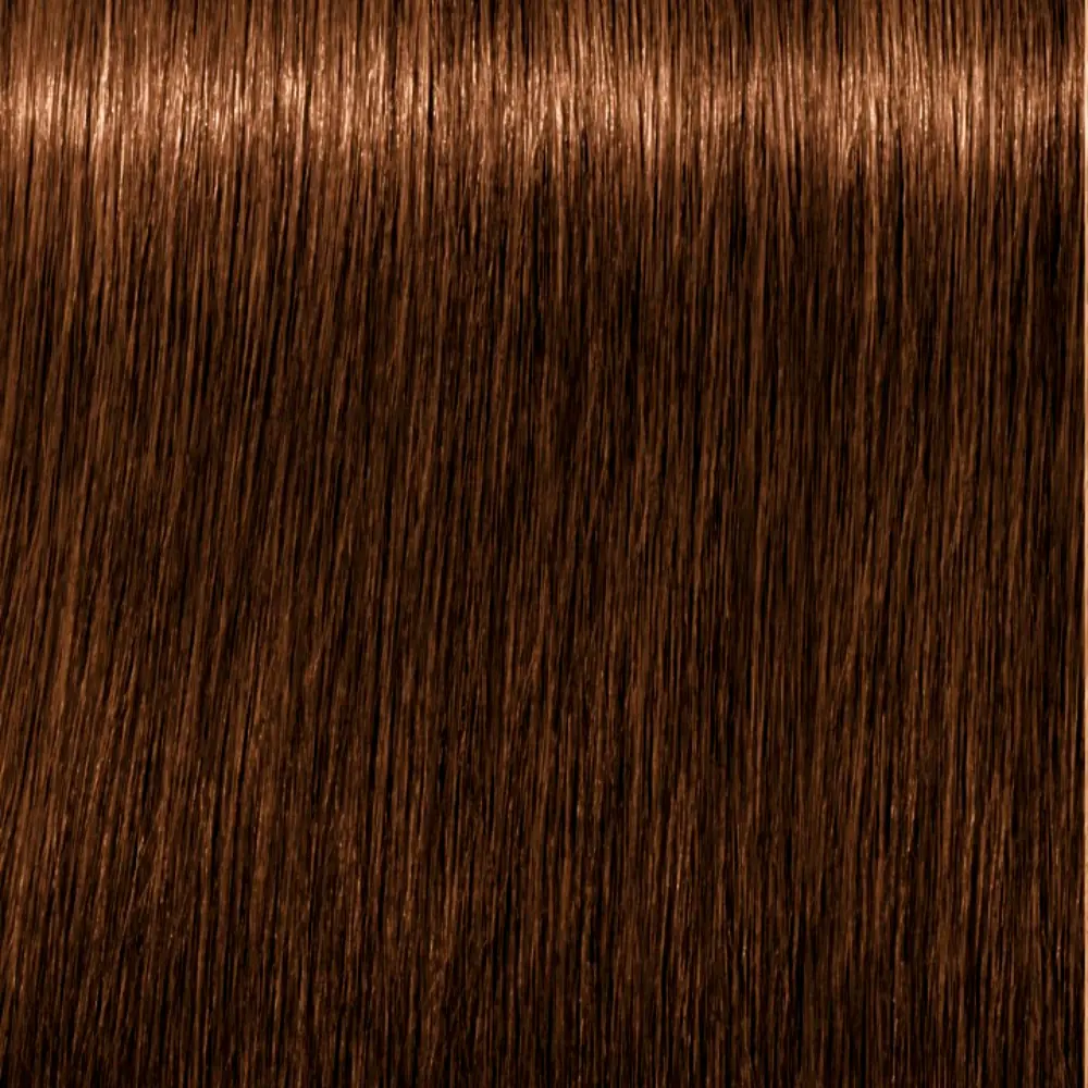 SCHWARZKOPF IGORA ROYAL ABSOLUTES #8-60 light blonde natural brown 60 ml SCHWARZKOPF IGORA ROYAL ABSOLUTES #8-60 light blonde natural brown 60 ml - Image 2