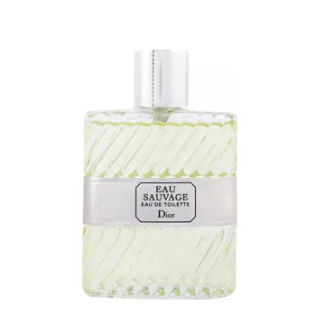 <span class="notranslate">DIOR EAU SAUVAGE</span> eau de toilette spray 200 ml for Men