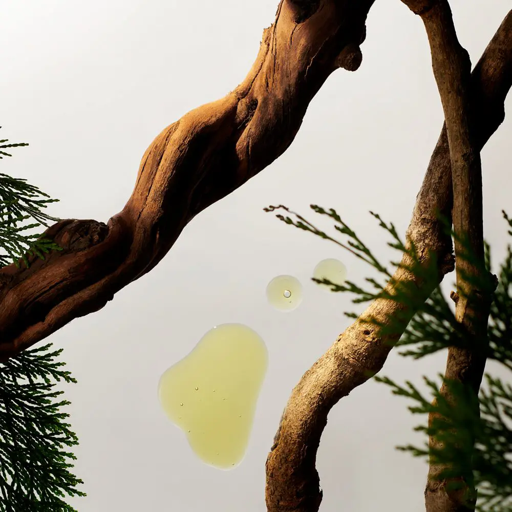 RITUALS HOMME shower foam 200 ml