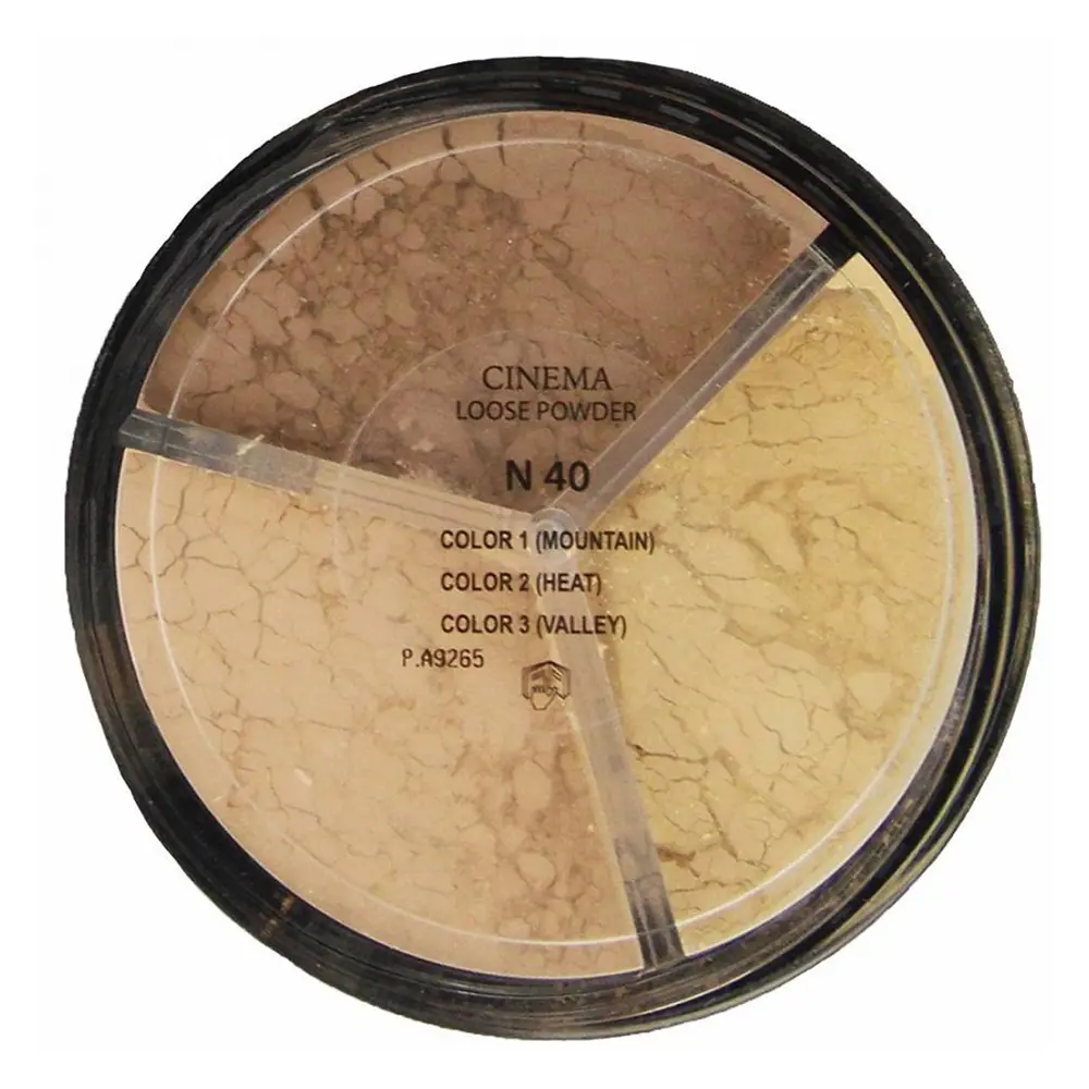 DELFY CINEMA translucent loose powder #40 30 gr