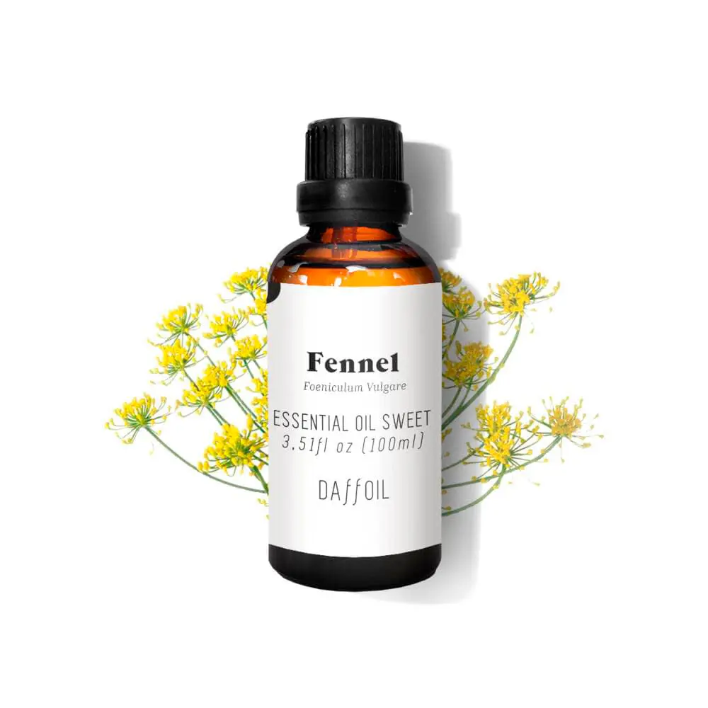 DAFFOIL ESSENTIAL OIL sweet fennel 100 ml DAFFOIL ESSENTIAL OIL sweet fennel 100 ml