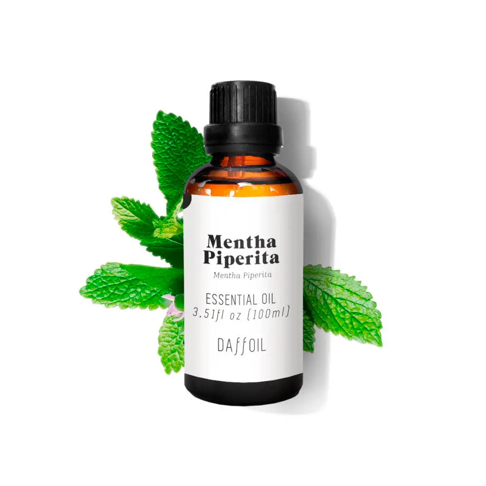 DAFFOIL Peppermint essential oil 100 ml DAFFOIL Peppermint essential oil 100 ml