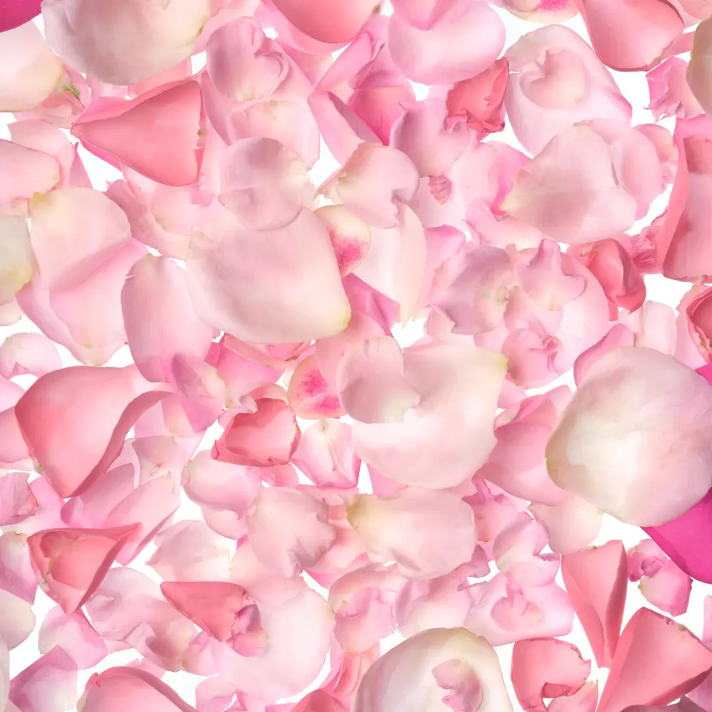 THE BODY SHOP Gommage douche BRITISH ROSE 50 ml