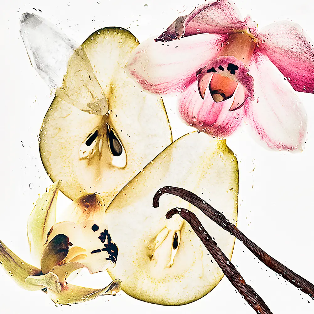 <span class="notranslate">CALVIN KLEIN CK NUDE VANILLA</span> body mist 236 ml Unisex