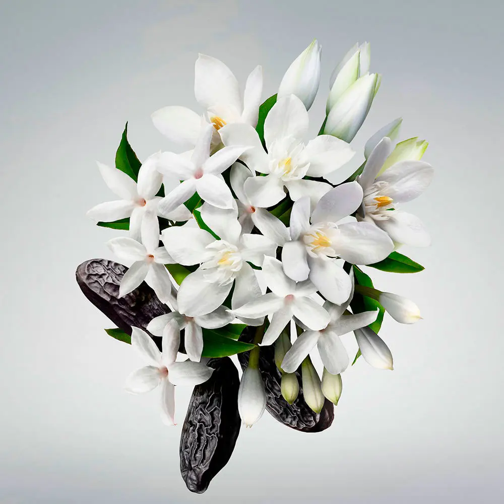 CAROLINA HERRERA GOOD GIRL legs oil 150 ml