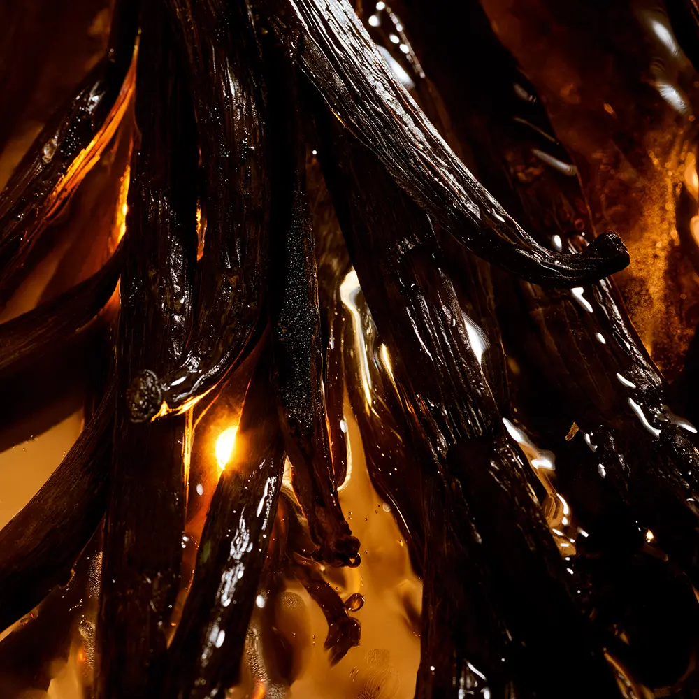 GUERLAIN SHALIMAR L'ESSENCE PARFUM INTENSE eau de parfum 50 ml GUERLAIN SHALIMAR L'ESSENCE PARFUM INTENSE eau de parfum 50 ml