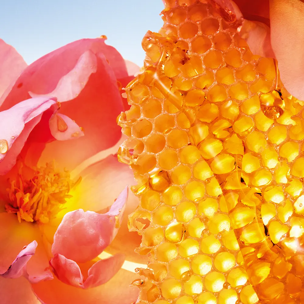 <span class="notranslate">GUERLAIN LA PETITE ROBE NOIRE HONEY ROSE</span> eau de parfum 50 ml for Women