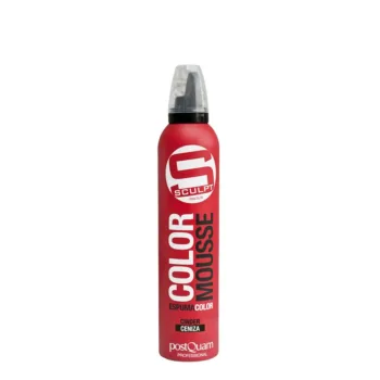 POSTQUAM SCULPT COLOR MOUSSE #cinder 300 ml